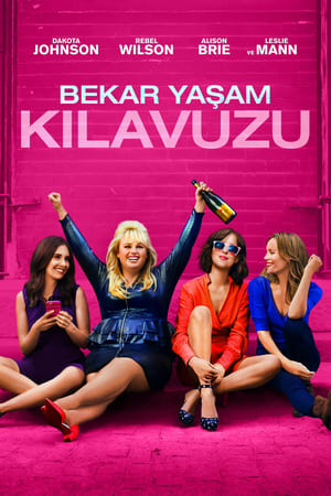 Poster Bekâr Yaşam Kılavuzu 2016