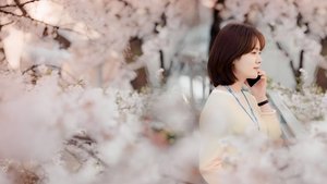 One Spring Night ( 2019 )