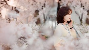 One Spring Night (2019) Korean Drama