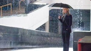 Homeland 4×8