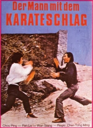 Image Der Mann mit dem Karateschlag
