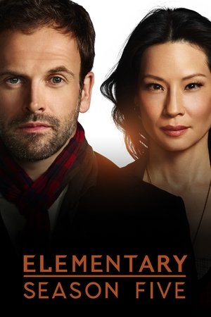 Elementary: Musim ke 5