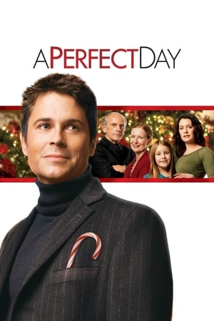 A Perfect Day poster