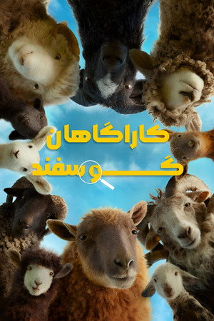 <Images posters
