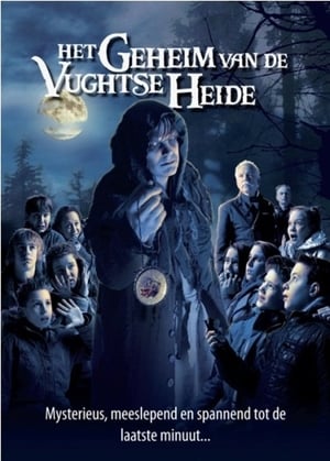 Poster Het geheim van de Vughtse Heide (2010)