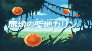 Dragon Ball - Dragon Ball - Saison 1 - Les Habitants de la terre sainte - image n°1