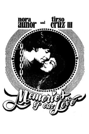 Poster Memories of Our Love 1975