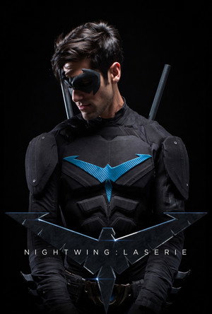 Nightwing: The Series