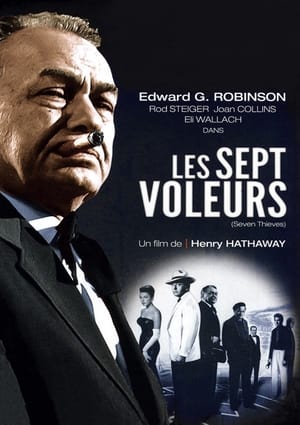 Poster Les Sept Voleurs 1960