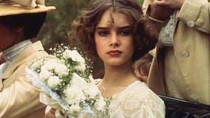 Menina Bonita – Filme 1978