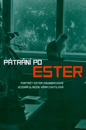 Poster Searching for Ester (2005)