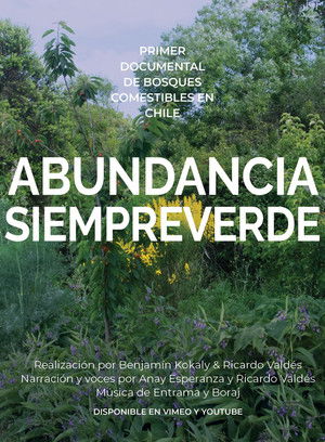 Abundancia siempreverde