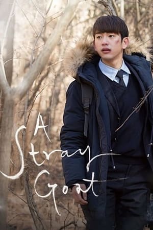 Poster A Stray Goat (2017)