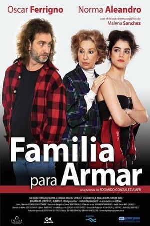 Poster Familia para armar 2011