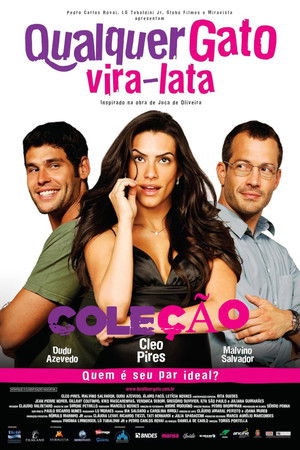 Qualquer Gato Vira Lata: Coleção