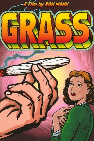 Poster Историята на марихуаната 1999