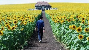 Everything is Illuminated (2005)