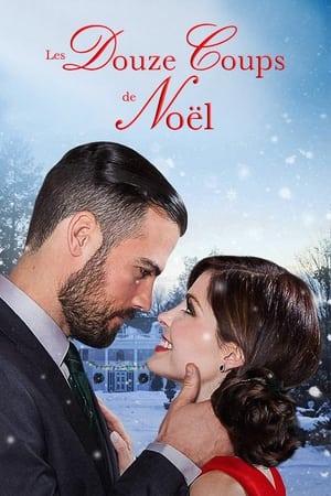 Poster Les Douze Coups de Noël 2015