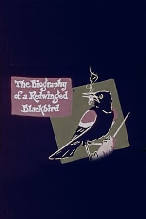 Poster The Biography of a Redwinged Blackbird (1946)