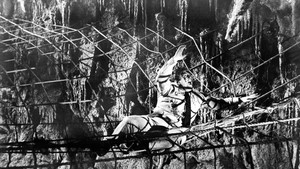 Earth vs. the Spider (1958)