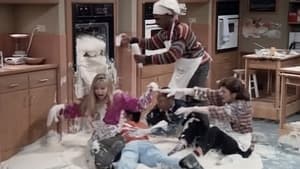 Family Matters Season 3 Episode 17