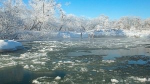 Journeys in Japan: 12×5