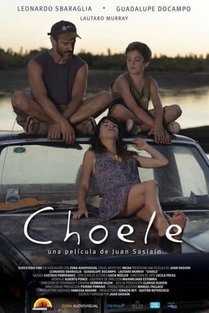 Poster Choele 2013