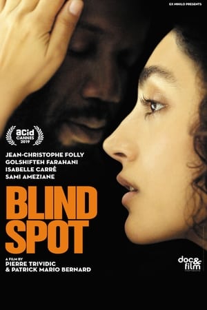 Poster Blind Spot (2019)