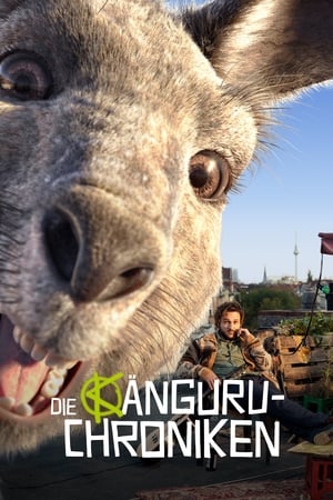 Poster Kangur! 2020