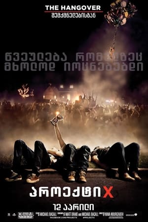 Poster პროექტი X 2012