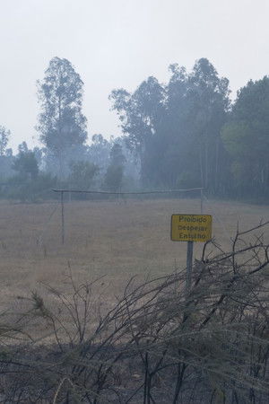 O Que Farei Quando Tudo Arde
