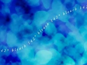 Rangiku's Tears, the Sorrowful Parting of Brother and Sister