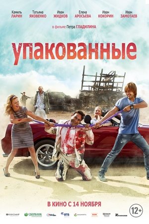 Poster Упакованные 2013