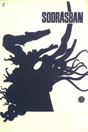 Poster Sodrásban 1964