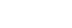 Street Fighter