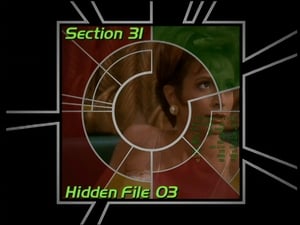 Image Section 31: Hidden File 03 (S04)