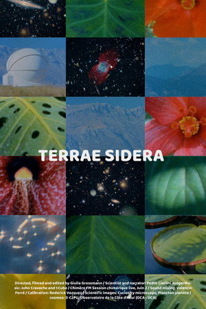 Terrae Sidera (2023)