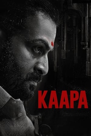 Poster Kaapa (2022)