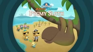 Octonauts: Above & Beyond Pygmy Sloths