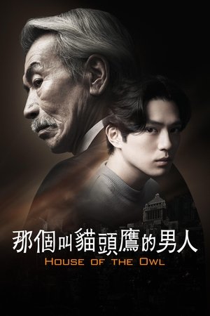 Image 那个叫猫头鹰的男人