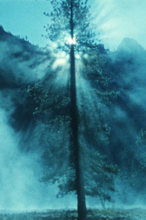 Wilderness: A Country in the Mind 9