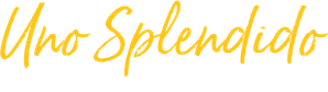 Uno splendido disastro (2023) Streaming official logo