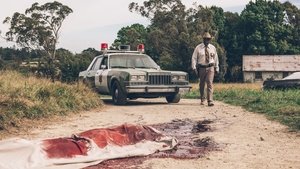 Images posters
