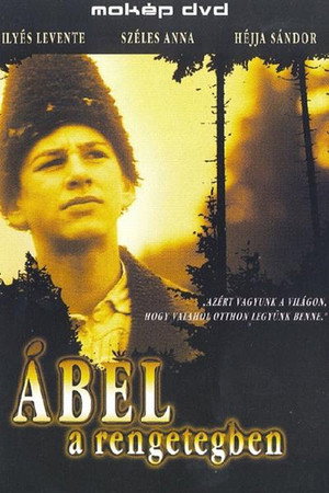 Ábel a rengetegben 4