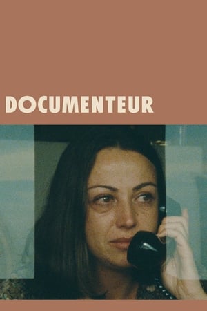 Poster Documenteur 1981