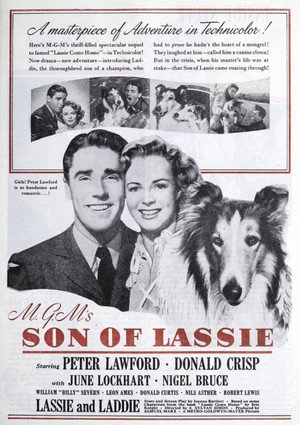 Son of Lassie