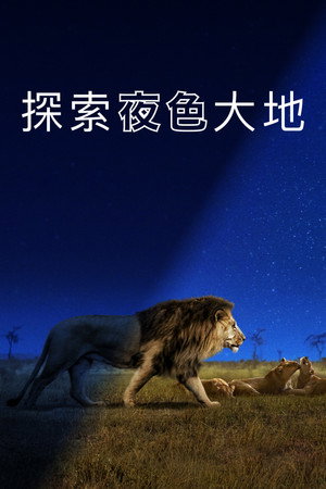 探索夜色大地