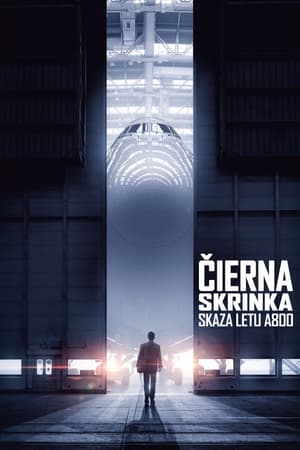 Poster Čierna skrinka: Skaza letu A800 2021