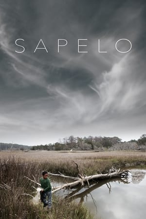 Poster Sapelo (2020)