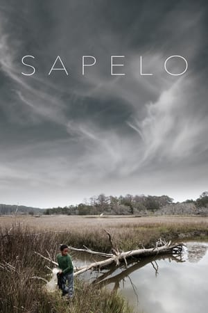 Sapelo 2020